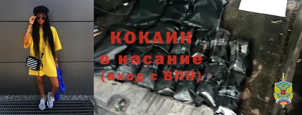 стаф Дмитриев