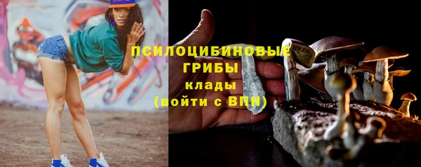 индика Дмитровск
