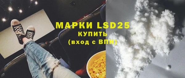стаф Дмитриев