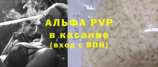 индика Дмитровск