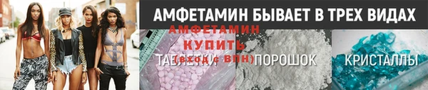 индика Дмитровск