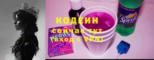 молекула духа Новозыбков