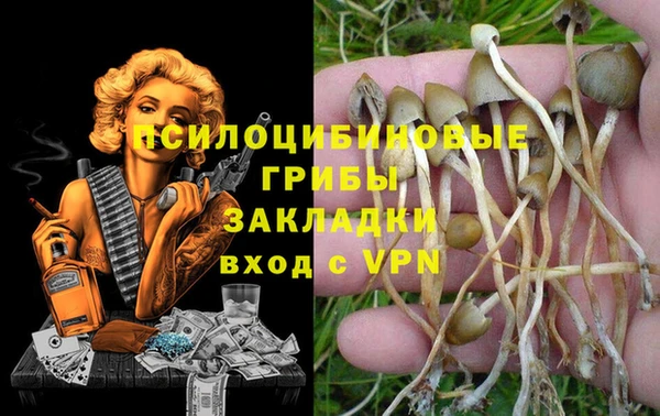 стаф Дмитриев