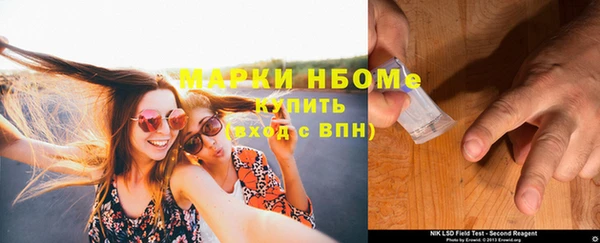индика Дмитровск