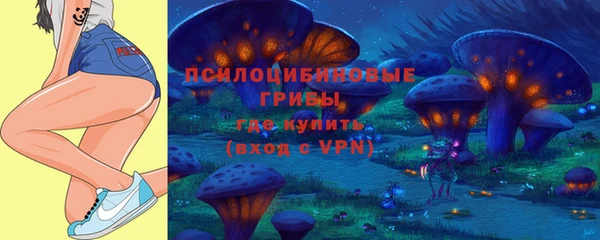 mdpv Дмитров