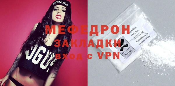 индика Дмитровск