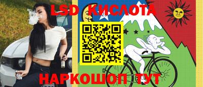 молекула духа Камышлов