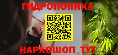 молекула духа Камышлов