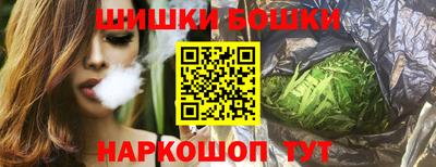 молекула духа Камышлов
