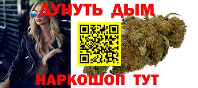 молекула духа Камышлов