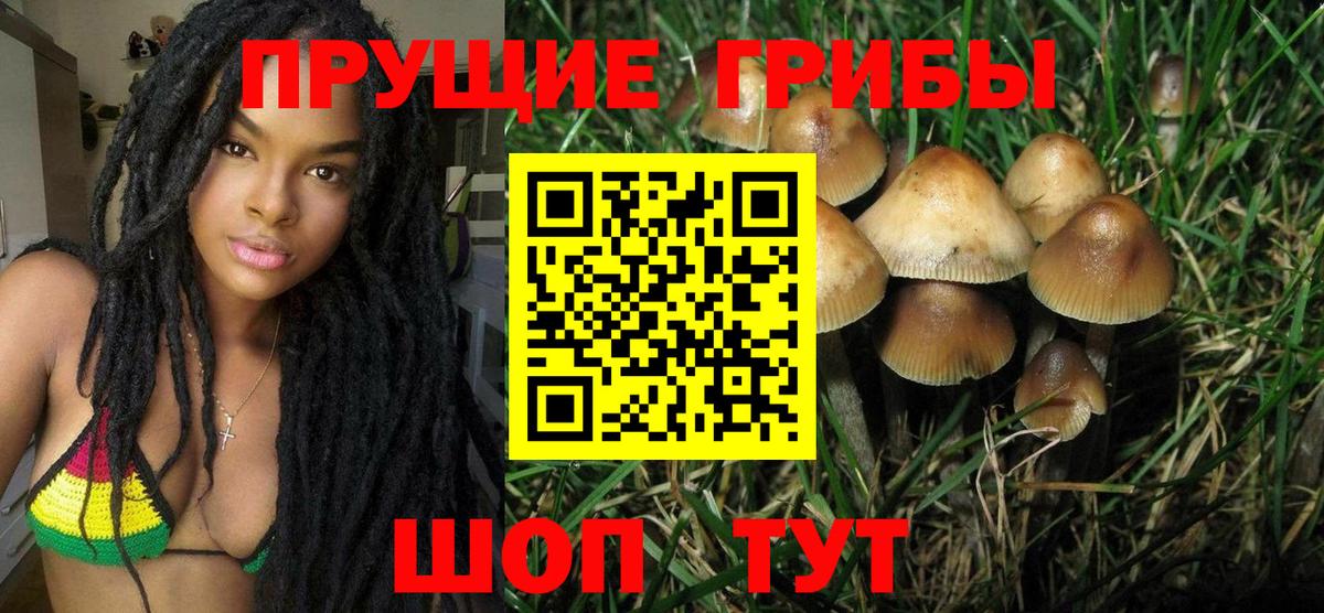 Галлюциногенные грибы прущие грибы  Вход с VPN  наркота  Реж 